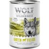 1 x 400 g konzerva Wolf of Wilderness za skvelú cenu - Green Fields - jahňacie