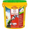 Sera Koi Color Nature Large 20 l