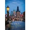 Procházky Prahou (Hášová Klára)
