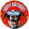 Foliový balónik Happy Birthday Cool pes, 45 cm
