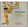 BEETHOVEN,L.V.: Complete Violin Sonatas Vol.4 - on original instruments (CD) (ACCENT)