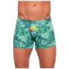 Pánske elastické boxerky Chameleon M Zelená
