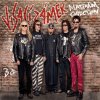 Visací zámek - Platinum Collection, 3 CD
