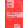 Pracovné právo v európskej perspektíve - Helena Barancová, Kolektív Autorov