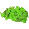 Islandský aranžérsky mach 500g - neónovo zelený