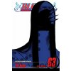 Bleach 63