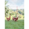 Elektrická sieť na hydinu 106 cm – spoľahlivé oplotenie pre sliepky, kačice a inú hydinu KERBL 292270 oranžová, jeden hrot, jeden hrot 50mx106cm.