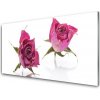 Sklenený obklad Do kuchyne Ruže kvety rastlina 100x50 cm