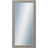 DANTIK - Zrkadlo v rámu, rozmer s rámom 50x100 cm z lišty AMALFI šedá (3113)