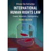 International Human Rights Law (Olivier De Schutter)(Brožovaná)