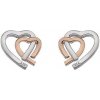 Hot Diamonds Dámske bicolor náušnice Hot Diamonds Love DE532