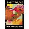 Now I Surrender - Alvaro Enrigue