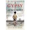 A Gypsy In Auschwitz