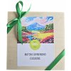 Matcha Japan Nishio BOX