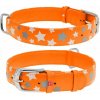 COLLAR Obojok kožený s hviezdami Glamour