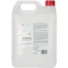 Bio dezinfekcia Dezanol, 5 l