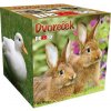 Pexeso Box Dvorček LUX