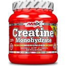 Amix Creatine monohydrate 300 g