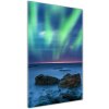 Vertikálny foto obraz akrylový do obývačky Polárna žiara 50x100 cm