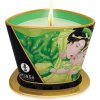 Shunga Libido Massage Candle Exotic Green Tea 170ml