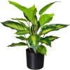 Umelá rastlina Dieffenbachia 24 listov, 45cm