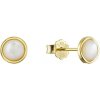 Evolution Group Pozlátené strieborné náušnice Kolieska s perleťou 11705.1