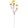 Cosmos žltý 60 cm 45609