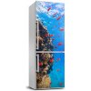 Nálepka fototapeta chladnička Koralový útes 60x180 cm