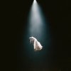 Ariana Grande: Eternal Sunshine Deluxe