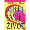 Miluj svůj život - Hay Lousie L