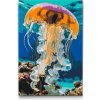 Vymalujsisam.sk Maľovanie podľa čísiel - Medúza v mori Veľkosť: 40x60cm, Rám: Na kartónovej doske