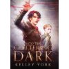 Into the Glittering Dark (York Kelley)
