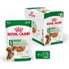 ROY ROYAL CANIN Mini Adult - mokré krmivo pre psov - 12 x 85g