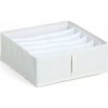 Zeller Organizér na spodní prádlo NOMAD se 6 přihrádkami, 30 x 30 x 11 cm