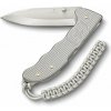 Victorinox Evoke Alox strieborný 0.9415.D26