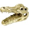 Terarijná dekorácia Krokodília lebka 14x9x7cm
