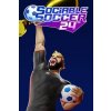 Sociable Soccer 24