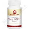 Pharma Activ Reishi Forte 1000 mg 90 kapsúl