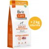 Brit Care Hypoallergenic Adult Medium Breed Lamb 14 kg