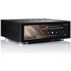 HiFi ROSE RS520