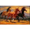 Norimpex Diamantové maľovanie Tri žrebce 80 x 40 cm