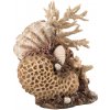 biOrb Coral-Shells Ornament natural 22 cm