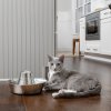 PetSafe Seaside fontána 1,8 l