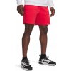 Under Armour Pjt Rck Icon Flc Short 1389918-989