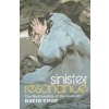 Sinister Resonance (David Toop)(Brožovaná)