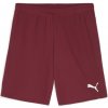 Puma | teamGOAL Shorts | vínová| M