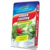 Agro CS Substrát na izbové rastliny 50 l