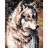 ZUTY Maľovanie podľa čísel - PORTRÉT VLKA Rámovanie: vypnuté plátno na rám, Rozmer: 80x100 cm