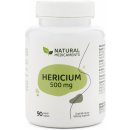 Natural Medicaments Hericium 500 mg 90 kapsúl