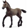 Schleich Žriebä plemena peruánsky paso